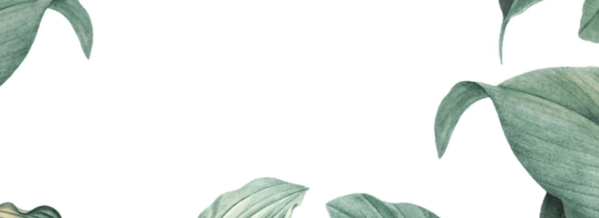img-slider21.png